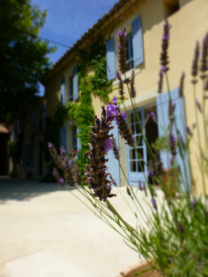 Mas Li Doumenge Bed & Breakfast
